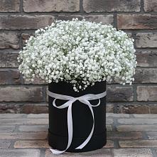 Цветочная композиция из Гипсофила в шляпной коробке в Нарзанном