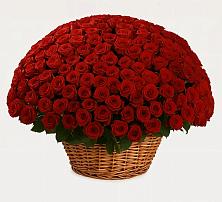 Премиум букет из: Розы #REPLACE_PRED# Нарзанном