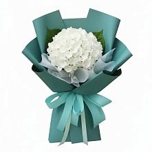 Букет цветов из:  Гортензия в Нарзанном